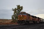 BNSF 5456